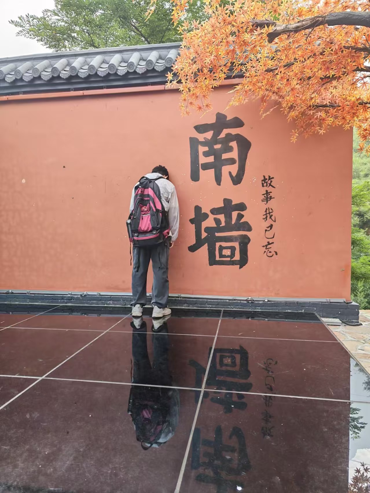 摄影作品5